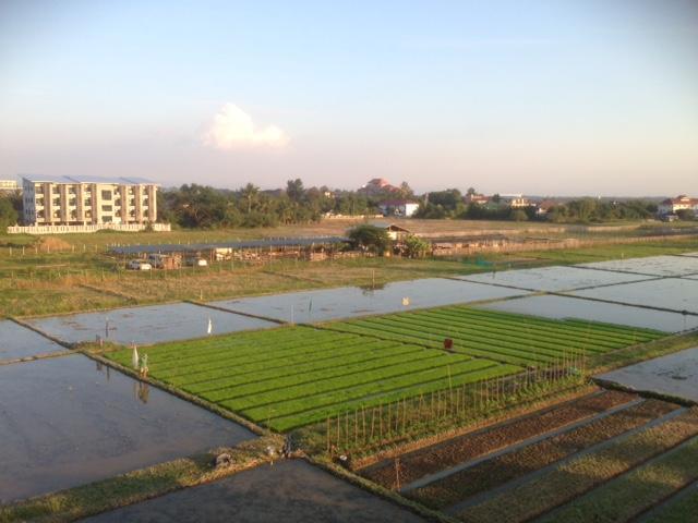I Residence At Maejo Chiang Mai Bagian luar foto